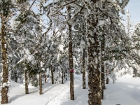 Parc national du Mont-Mégantic -Secteur de l'Observatoire